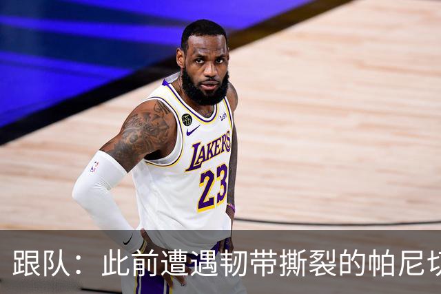 跟队：此前遭遇韧带撕裂的帕尼切利有望在9月至11月期间复出